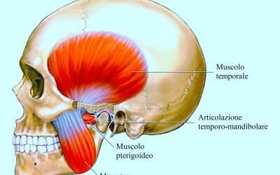 RILASSA I MUSCOLI DELLA TUA MANDIBOLA