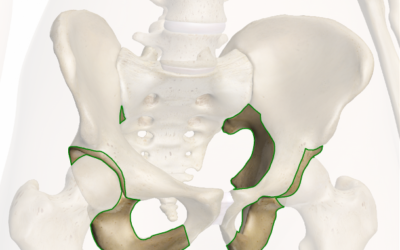 La seduta corretta é sugli ischi